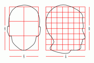 proportions_of_a_head_1