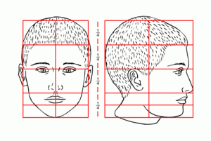 proportions_of_a_head_2