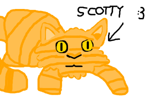 scotty cut out